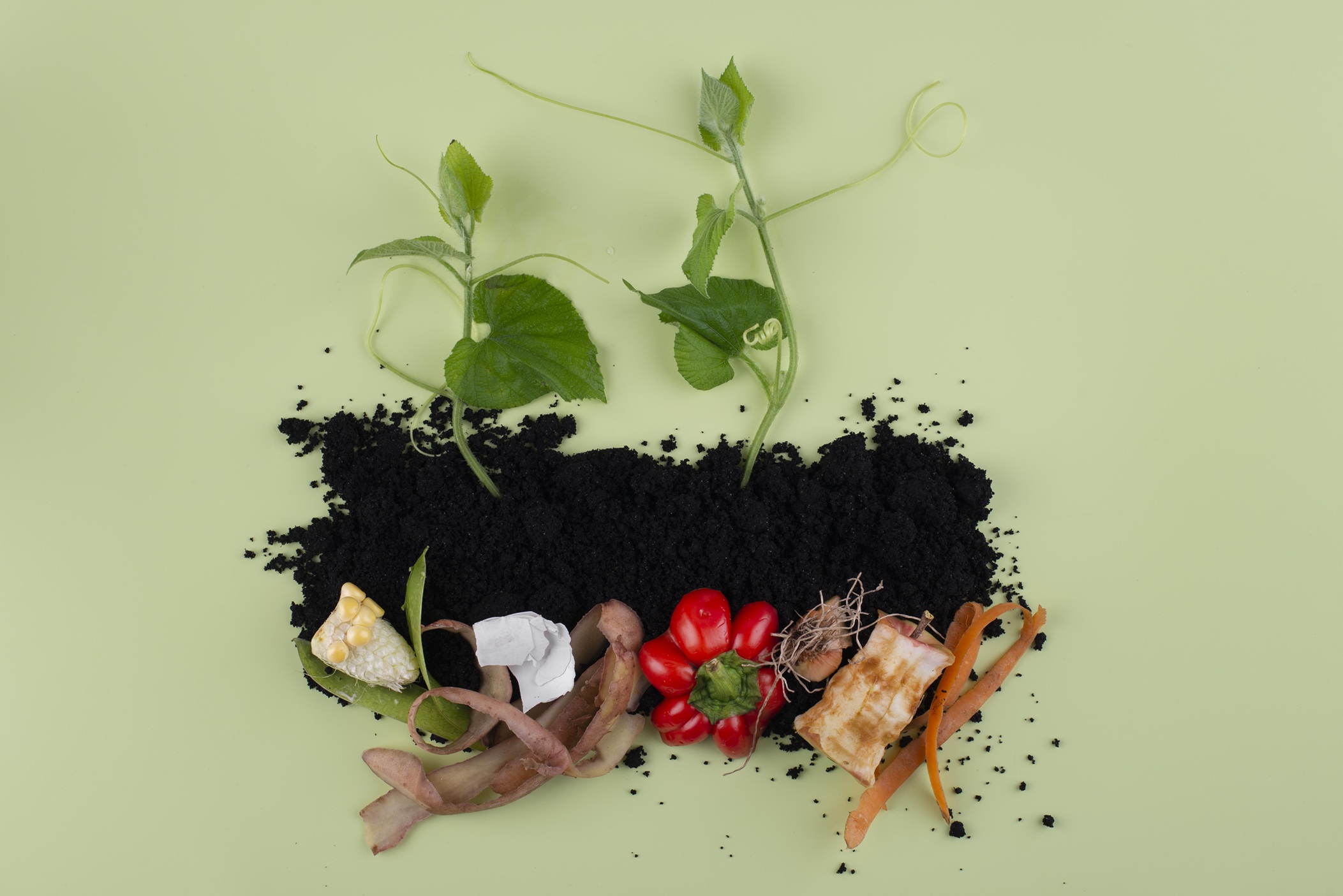 composition-compost-made-rotten-food (1)