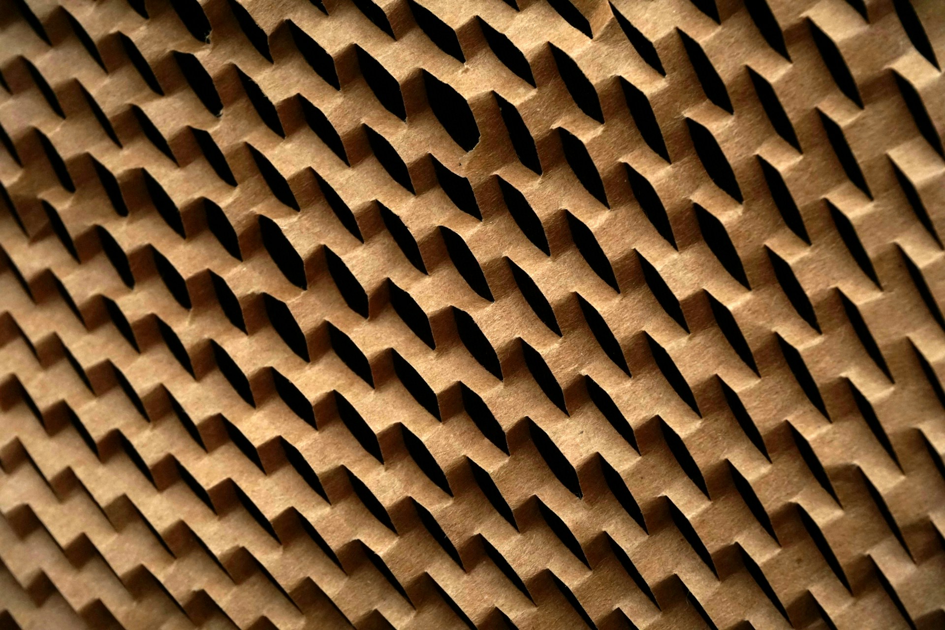 guner-deliaga-sahiner-erQFYD_na8Y-unsplash (1)