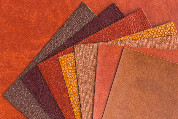 -BioTrace4Leather: The Project that wants to value leather